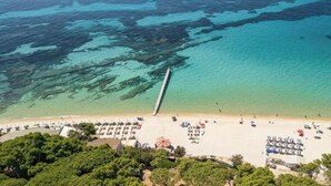 Vista aérea de una playa con un muelle que se adentra en el agua, rodeada de exuberante vegetación y un mar azul cristalino.