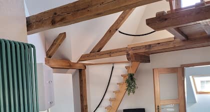 Apartment Tina with top equipment, sauna and only 3 km to the Bärwalder See