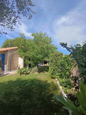 A garden with a house, a clear sky, and a pathway.