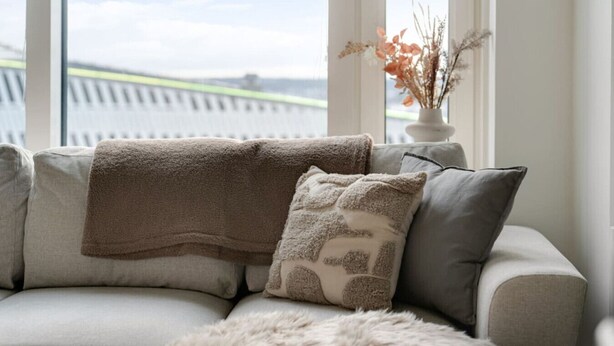 A sofa with a blanket and a decorative pillow, a white fluffy rug, and a vase with dried flowers.