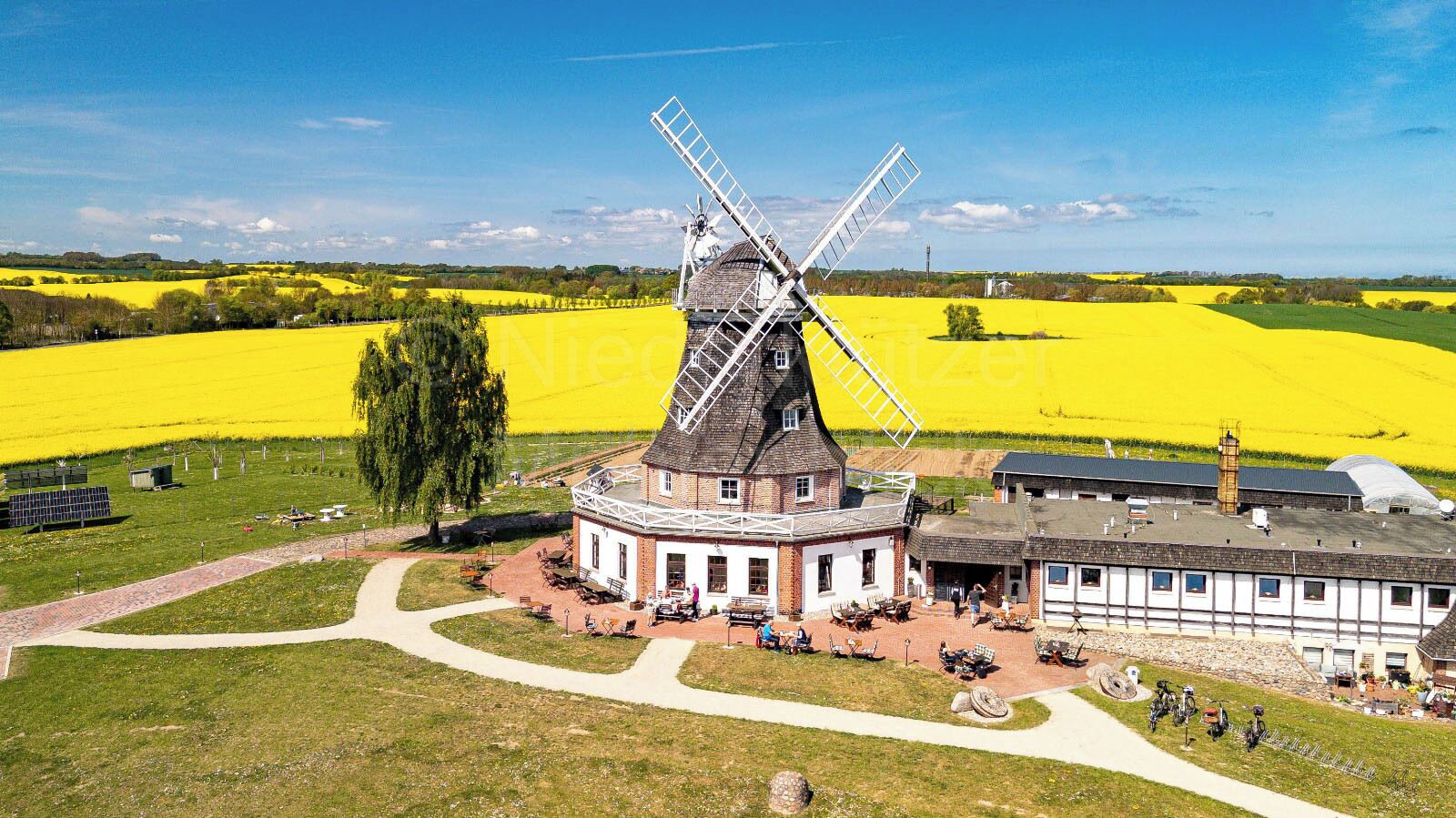 A windmill with a white exterior, a brick building with a white facade, and a yellow field in the background.