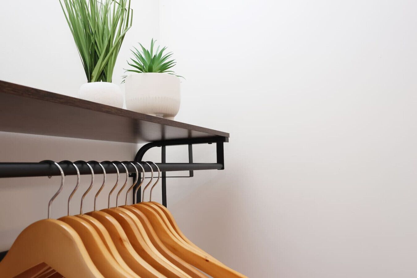 A wall-mounted rack with wooden hangers and a potted plant on a shelf.