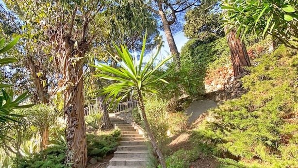 Una scalinata in pietra circondata da lussureggiante vegetazione e alberi.