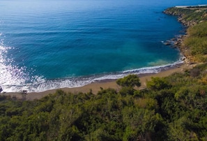Un paisaje costero con playa, vegetación y una vista despejada del océano.