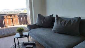 A living room with a grey sofa, two grey cushions, a small potted plant, and two remote controls on a black side table.