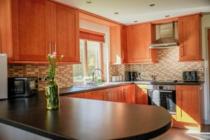 Cottage | Private kitchen - Willow Lodge (Knighton)