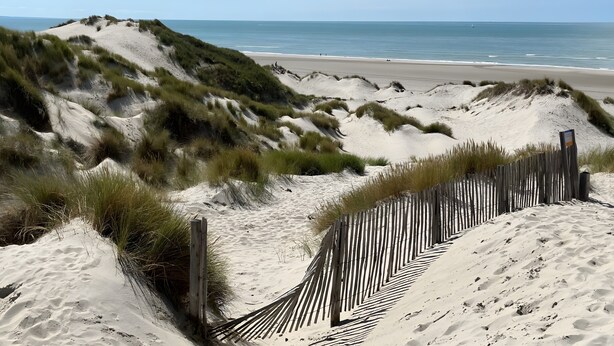 A beach with sand dunes and a wooden fence. - Holiday Home “Gîte Le Pré Salé” with Private Terrace and Wi-Fi (Boismont)
