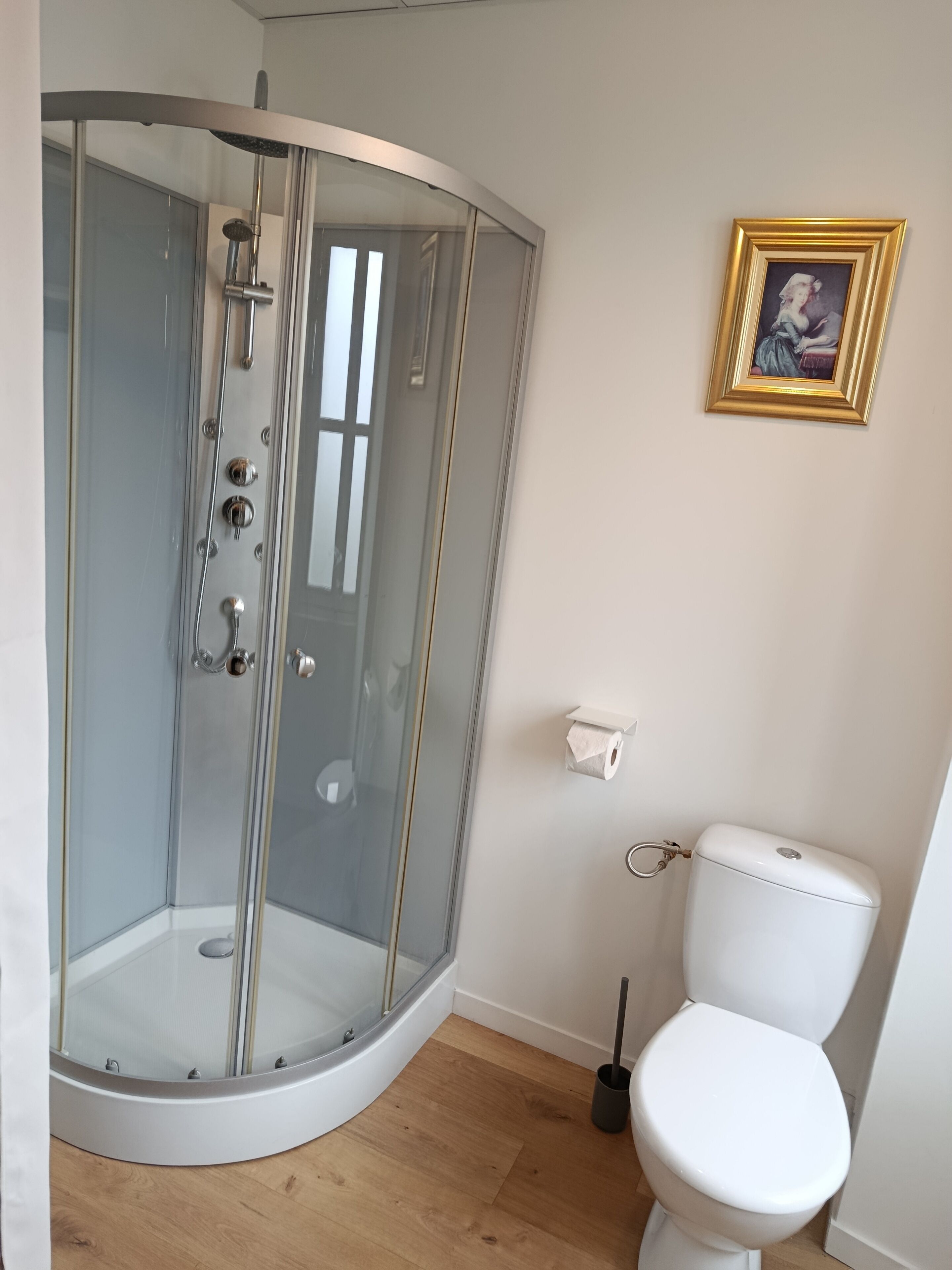 Baño con ducha de vidrio, inodoro y un cuadro en la pared.
