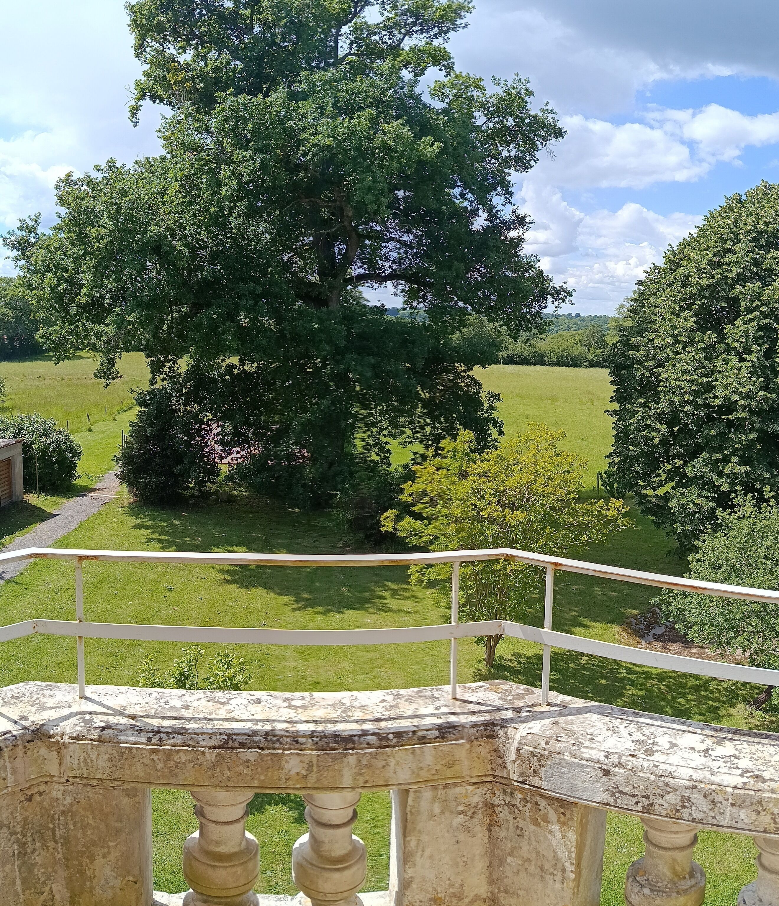 Luxury-Suite, Balkon, Parkblick | Kostenloses WLAN