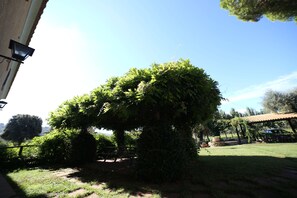 Ein gepflegter Garten mit einem großen Baum, einem Picknicktisch und einer Pergola.