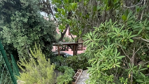 Un sendero de piedra que atraviesa un jardín con diversas plantas y una estructura de madera al fondo.
