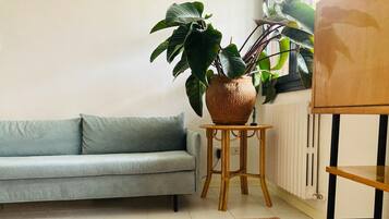 Fernseher