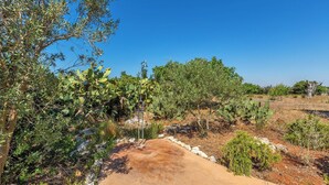 A desert landscape with cacti and sparse vegetation, a clear blue sky, and a paved area with a metal structure. - 5 minutes from beaches Room with shared pool in Salento, Puglia (Salve)