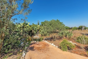 Miscellaneous - 5 minutes from beaches Room with shared pool in Salento, Puglia (Salve)