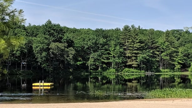 Une plage de sable bordée d’un lac paisible, le tout entouré d’une forêt dense.