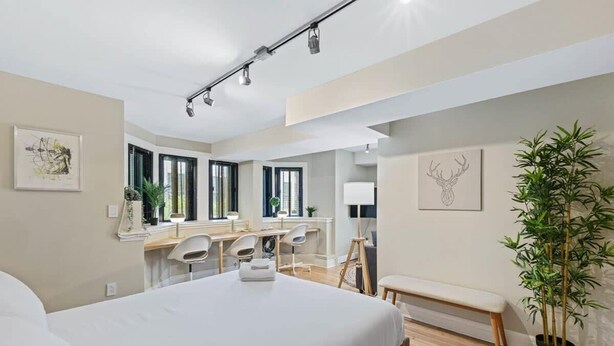 Ein modernes Hotelzimmer mit einem großen Bett, einem Schreibtisch, einem Sessel, einer Zimmerpflanze und Bildern an der Wand.