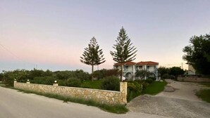 A house with a stone wall, two tall trees, and a paved driveway.