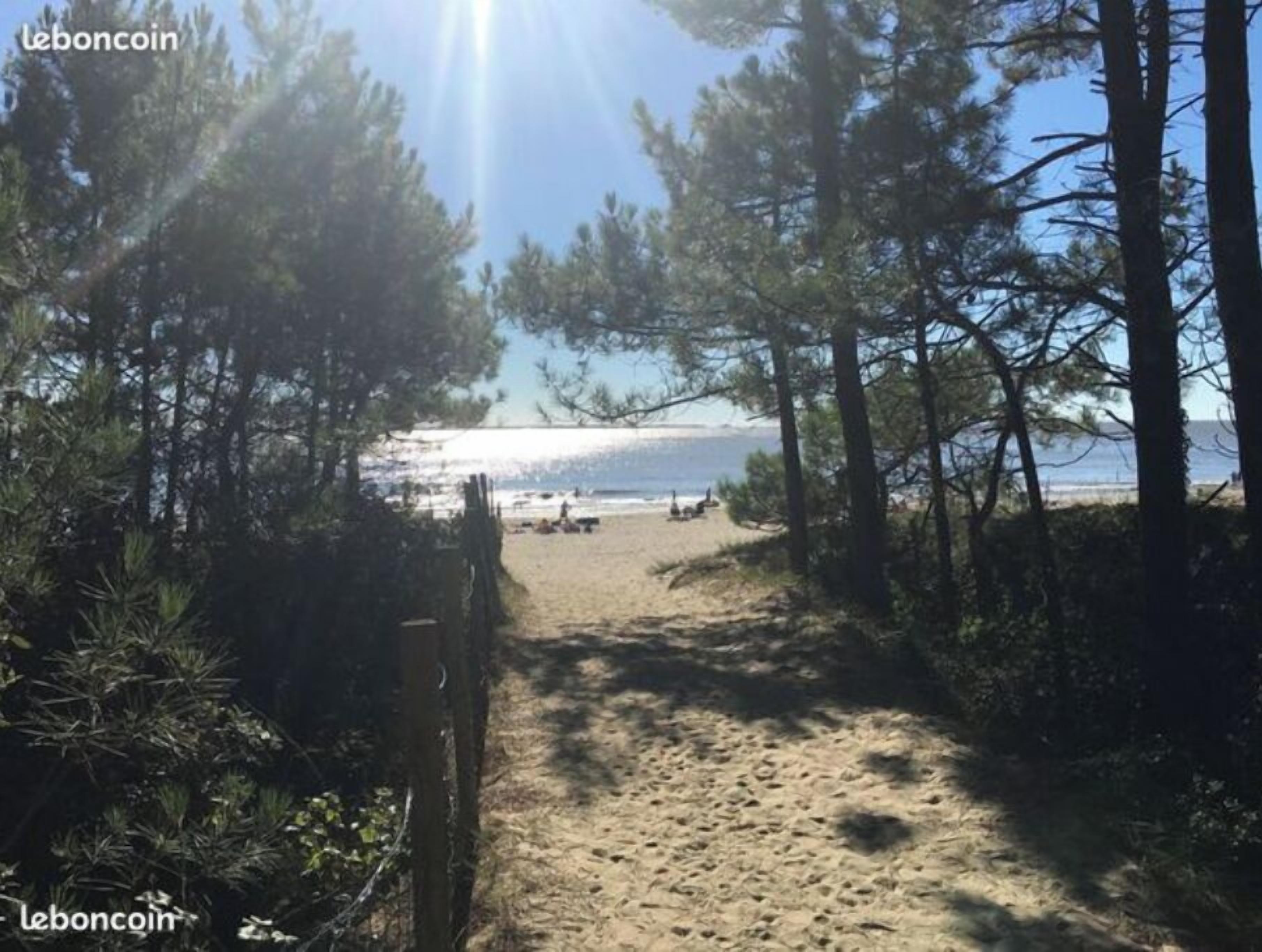 Playa