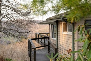 Property grounds - Blue Ridge Retreat, Hot Tub, Fireplace & Mountain Views (Black Mountain)