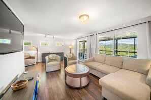 TV, fireplace - Blue Ridge Retreat, Hot Tub, Fireplace & Mountain Views (Black Mountain)