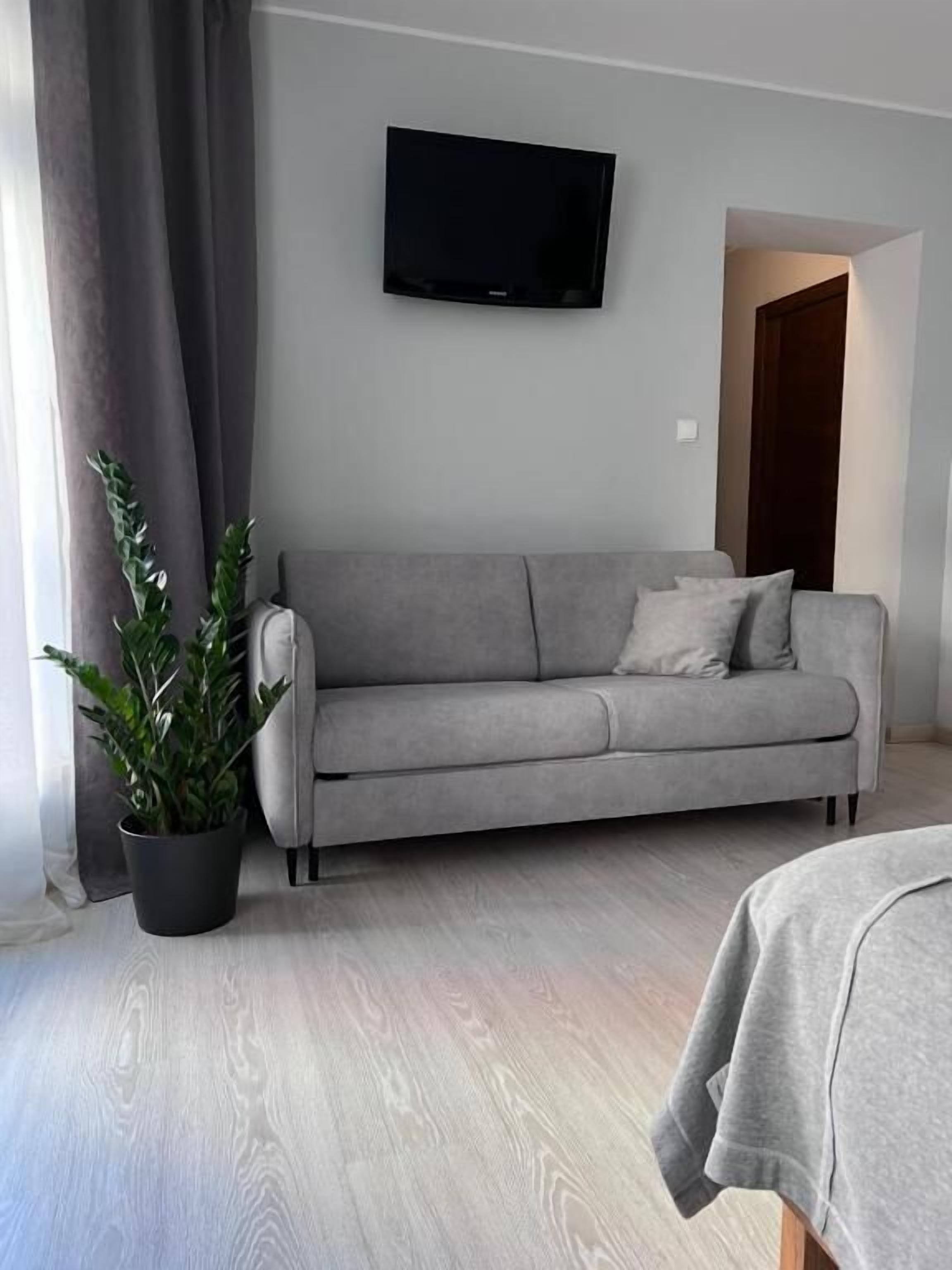 En moderne stue med en grå sofa, et fladskærms-tv monteret på væggen, en potteplante og trægulv.