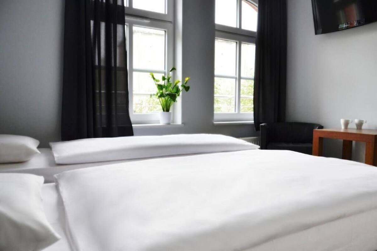 A hotel room with a bed, a small table, a chair, a potted plant, and a TV mounted on the wall.