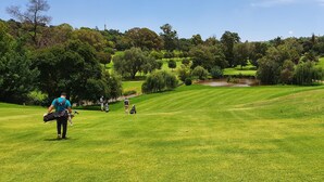 Ein Golfplatz mit einer Person, die ein Golftasche trägt, Bäumen und einem kleinen Teich.