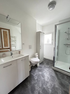 Een moderne badkamer met een douchecabine van glas, een wit toilet en een wastafel met spiegel.