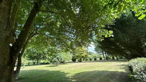 Ein Park mit Bäumen, Gras und blauem Himmel.