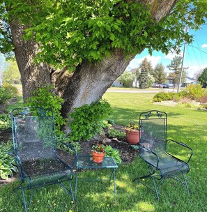 المنطقة المحيطة بالمنشأة