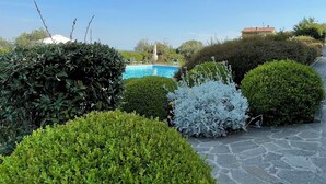 Un área ajardinada con un sendero de piedra, arbustos de diversas formas y una piscina al fondo.