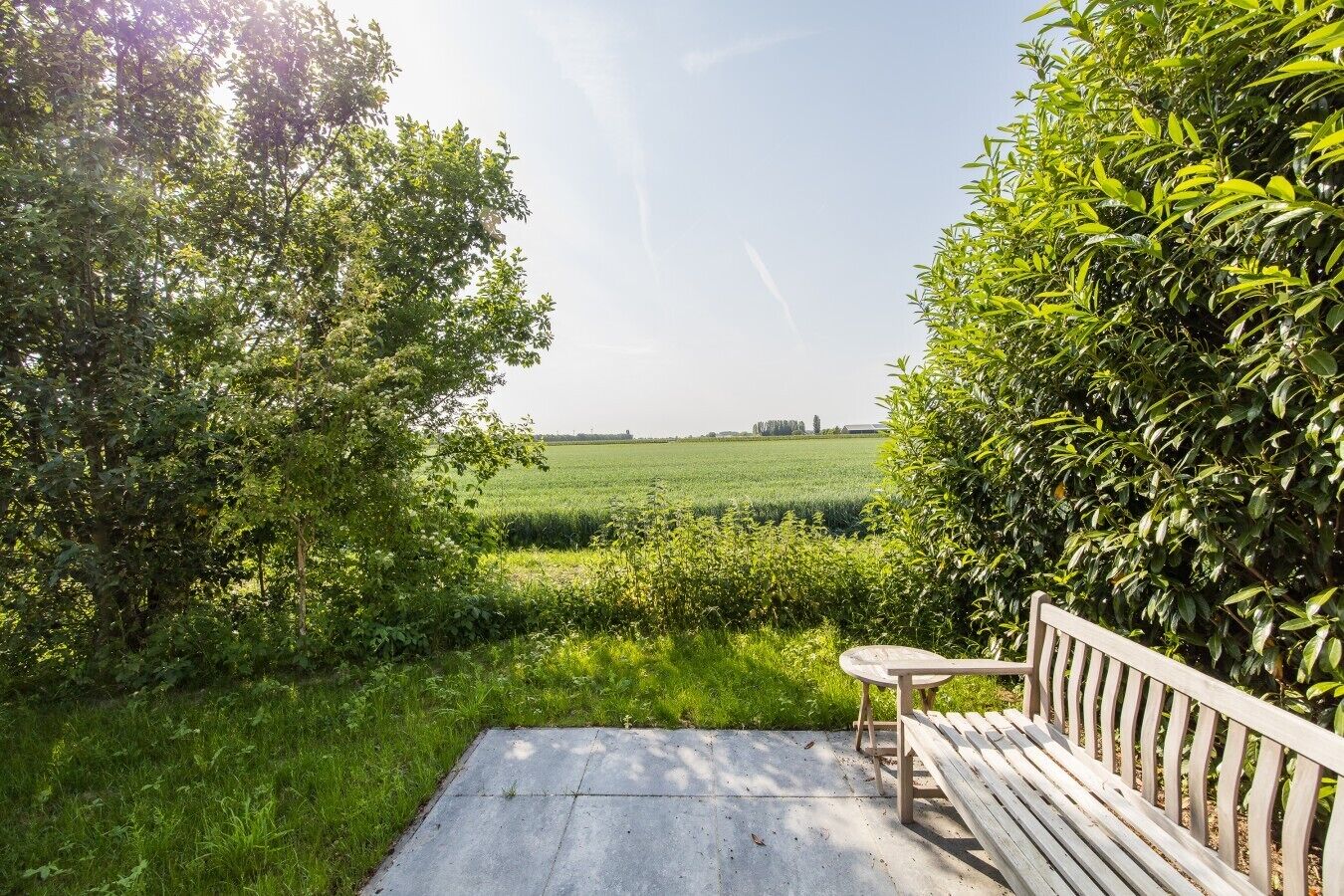 En solterrasse med bænk og bord, omgivet af frodig vegetation og udsigt over et marklandskab.