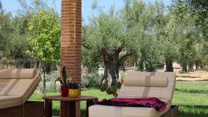 A patio area with two lounge chairs, a small table with a potted plant, and a cactus. - Gravanis Resort Luxury Villa with Private Pool in 30Acre Olive Grove near Athens (Sykamino)