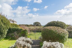 Property grounds - Violet Cottage, Kingsdown (Kingsdown)