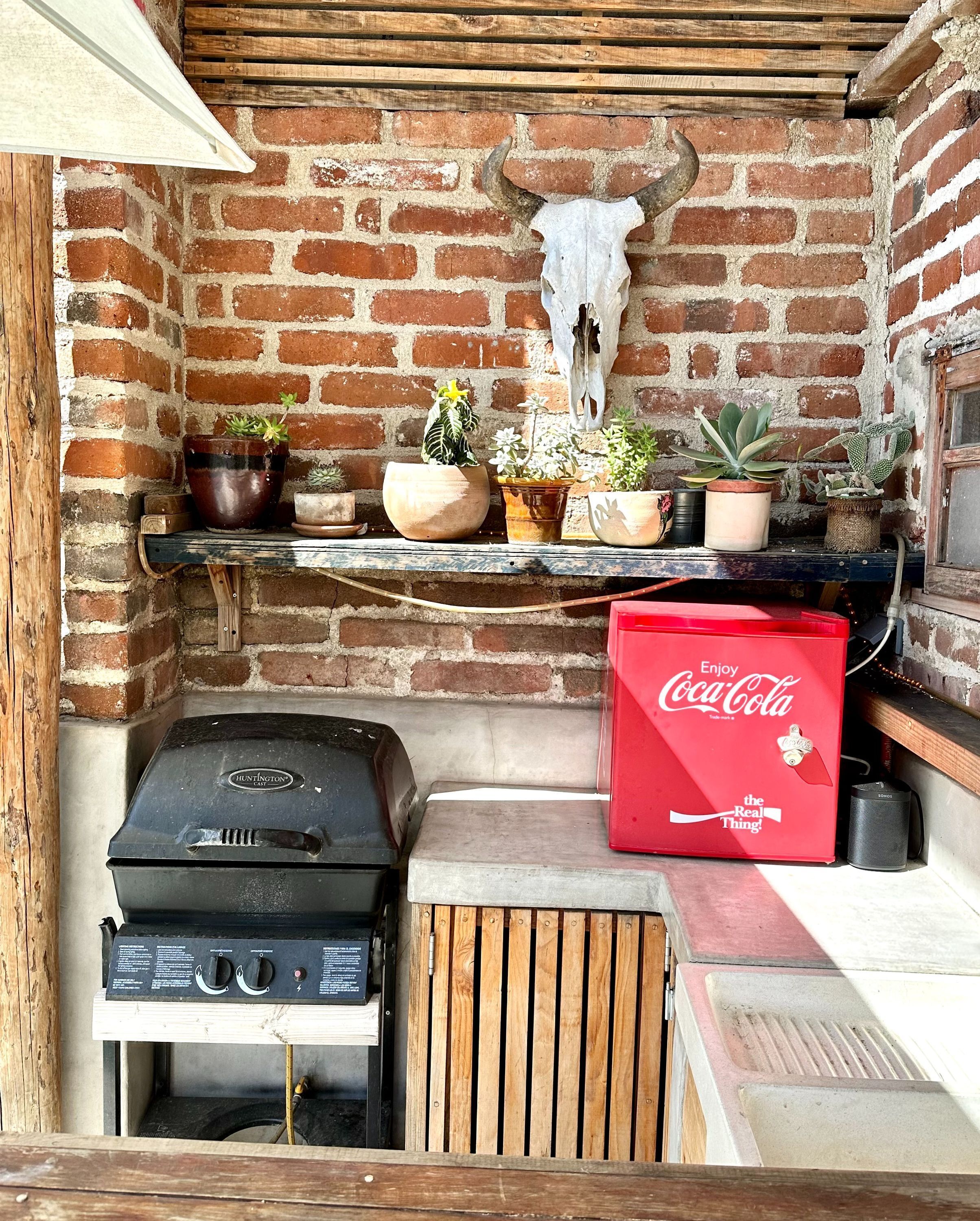 A brick wall with a bull skull decoration, a grill, and various potted plants.