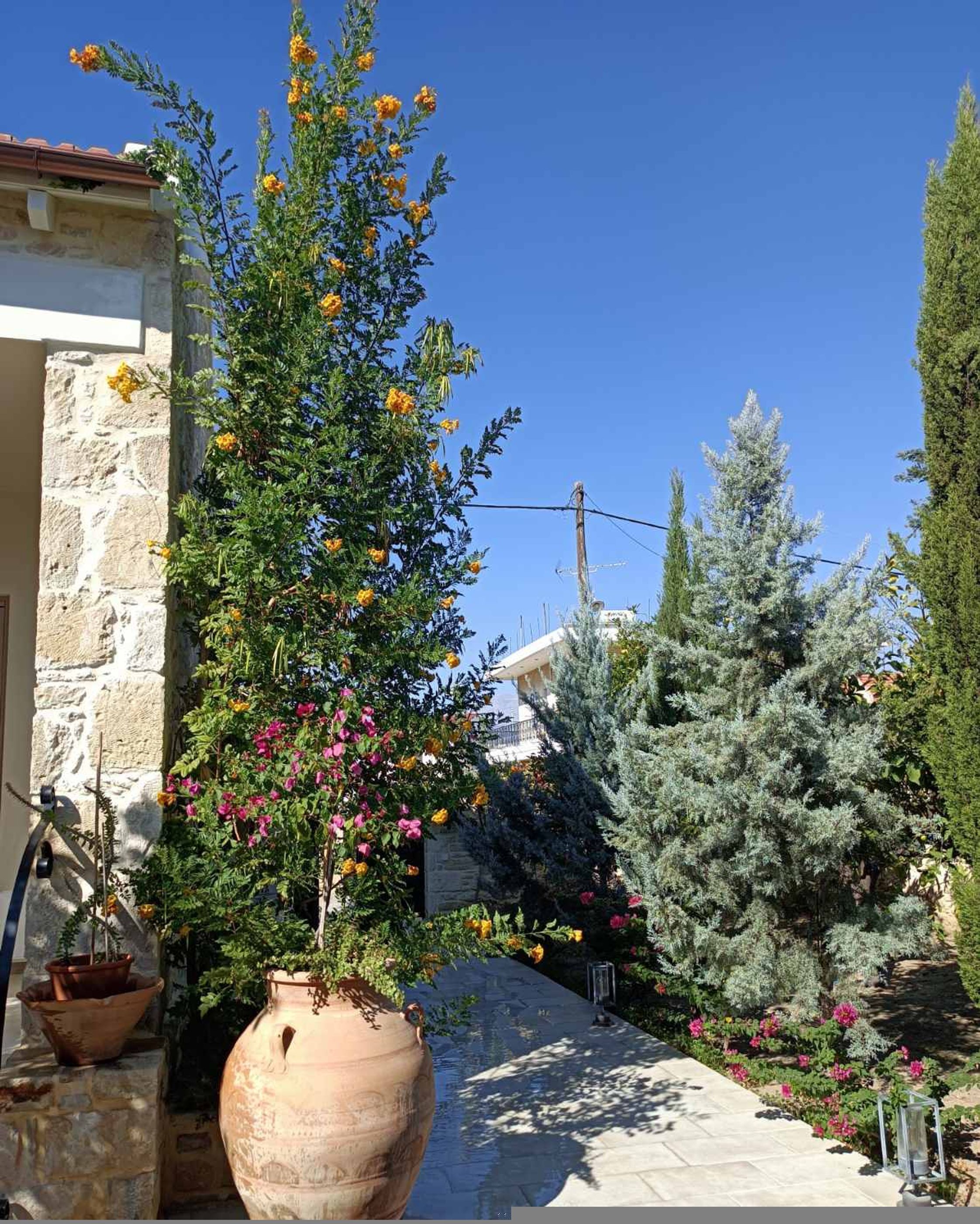A stone building with a potted plant and a pathway leading to a house.
