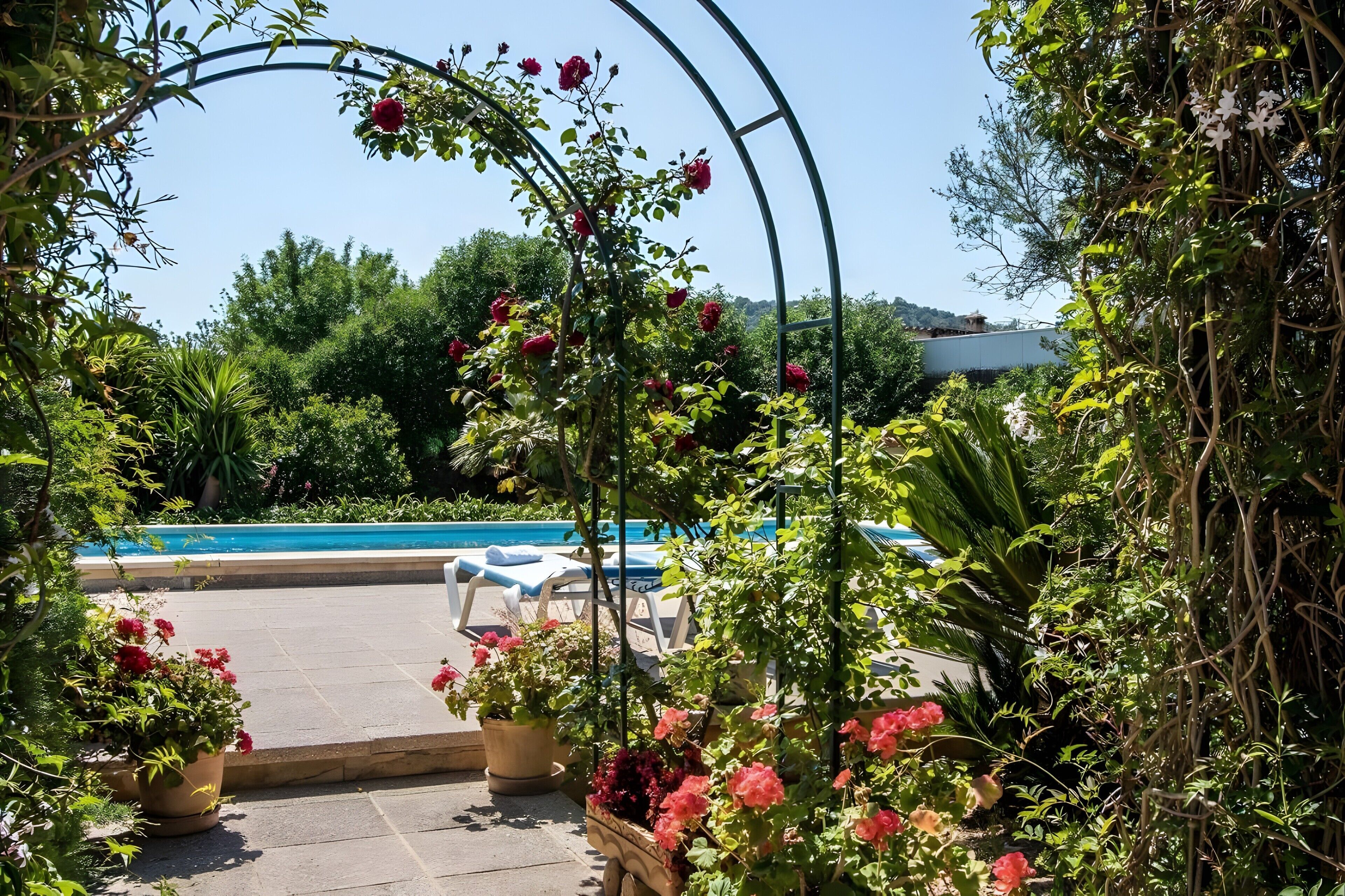 A pool area with a pergola covered in flowers, lounge chairs, and a clear sky.