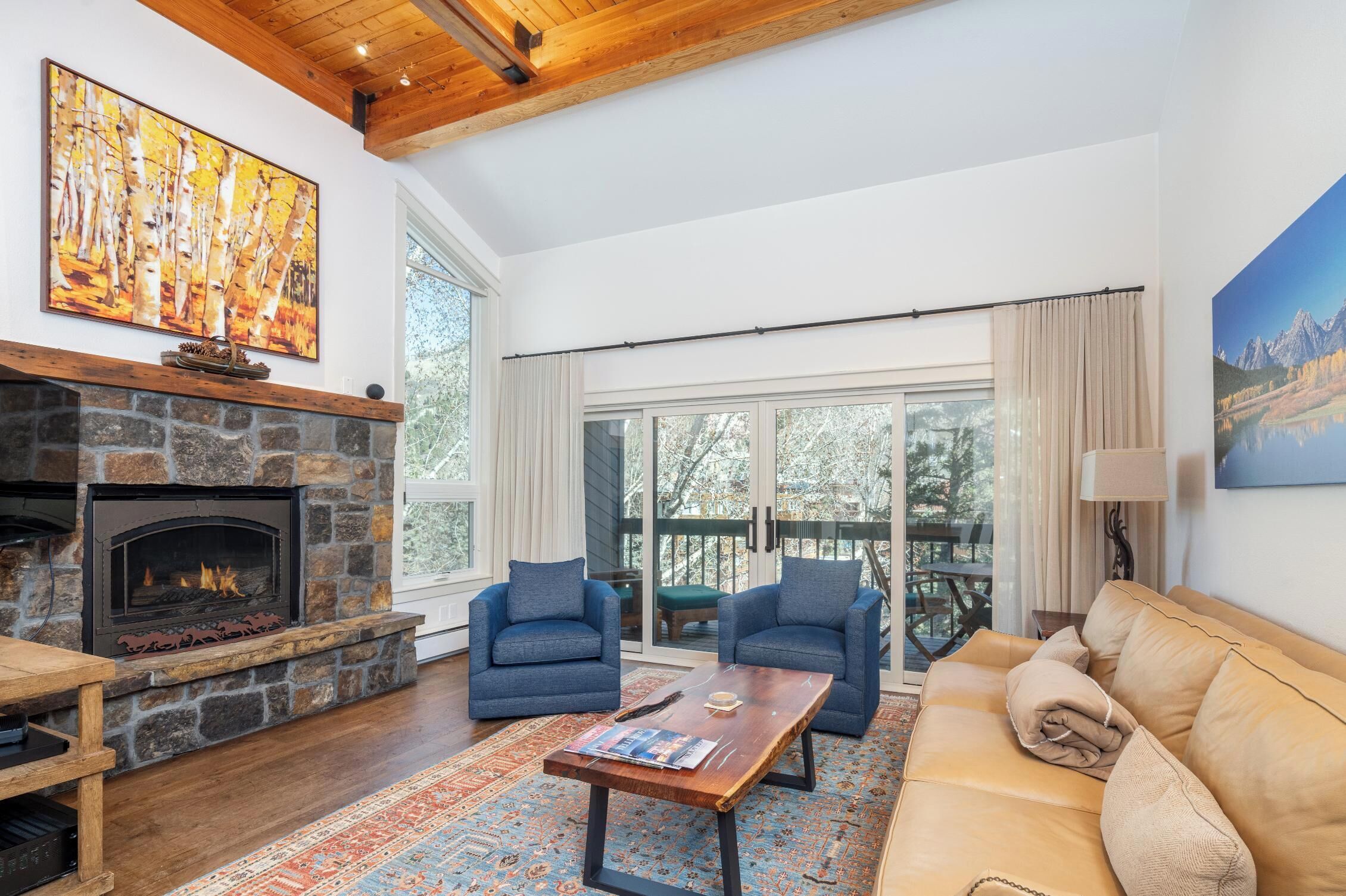 TV, fireplace, books