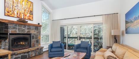 TV, fireplace, books