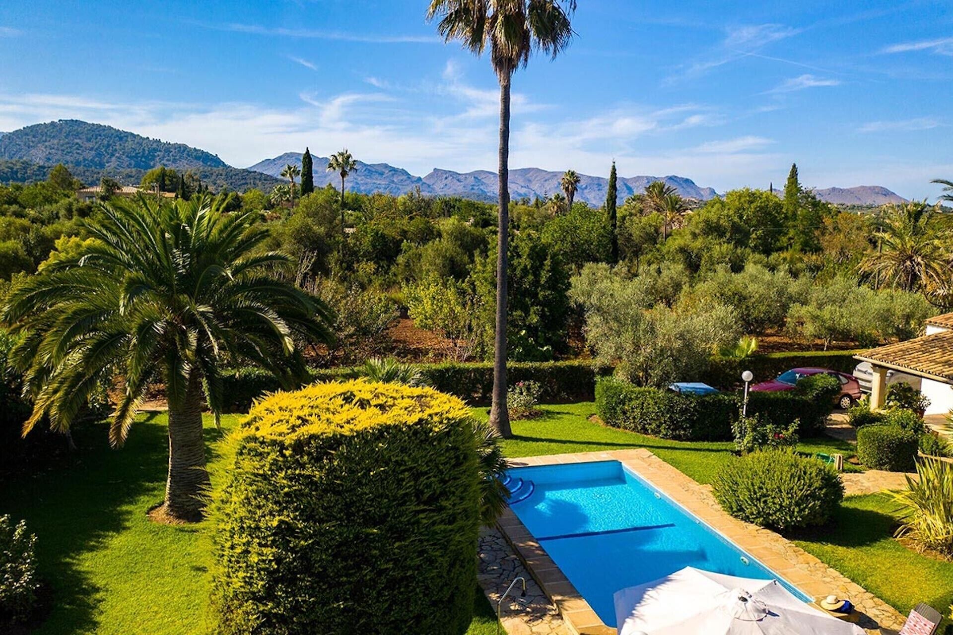 A swimming pool surrounded by lush greenery, with mountains in the background.