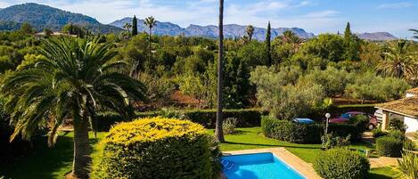 A swimming pool surrounded by lush greenery, with mountains in the background.