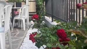 Un patio con sillas de plástico blanco, un sendero de piedra y rosas rojas.