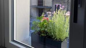 Vista desde una ventana de un edificio con una torre de campanas, una puerta y plantas en macetas.