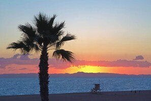 A beach scene with a palm tree and a lifeguard tower. - 313 E bay A & B | Balboa Cottage w/ Bay Views from Deck (Newport Beach)
