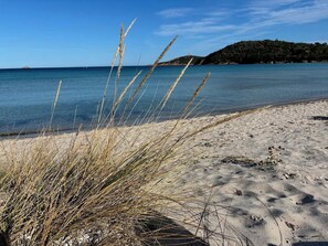 Ein Strand mit Sand, Gras und einer entfernten Hügelkette.
