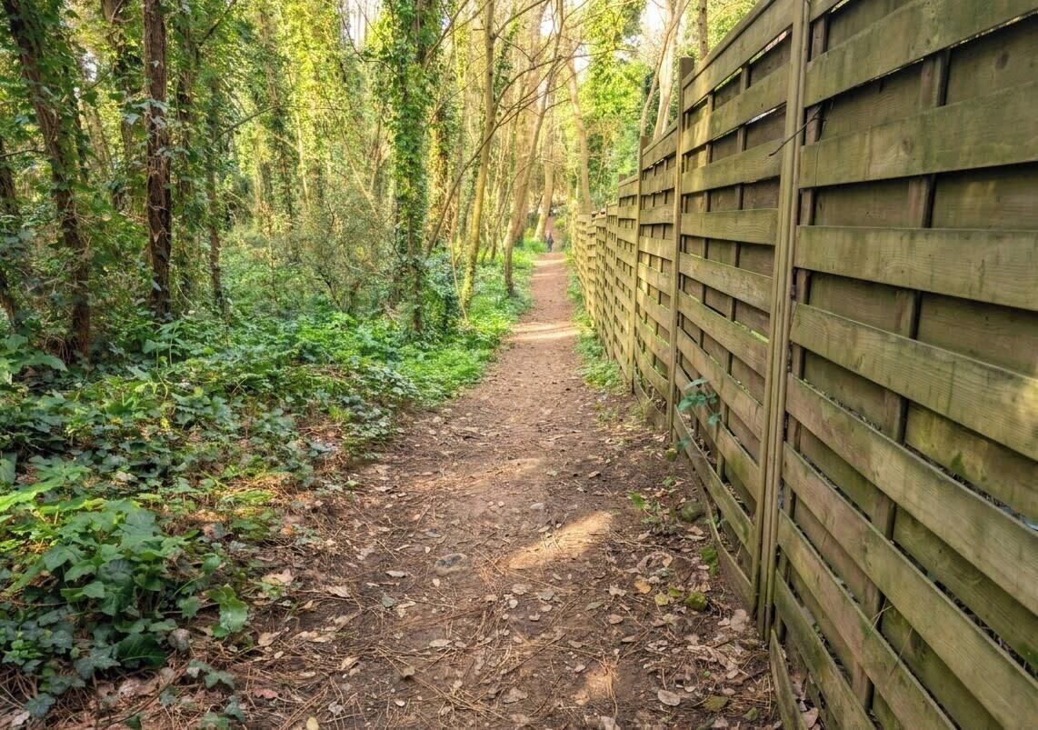 Un étroit sentier de terre, bordé d’une clôture en bois et d’une végétation luxuriante.