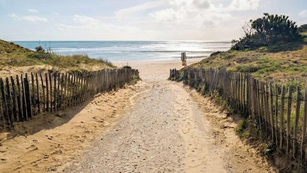 Ein sandiger Pfad führt zu einem Strand, begleitet von einem Holzzaun auf beiden Seiten.