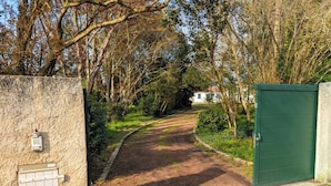 Ein von Bäumen gesäumter Weg mit Tor führt zu einem Haus.