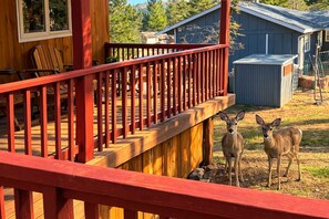 Terrace/patio - Casa La Luz  An Elegant Mountain Retreat (Ruidoso)