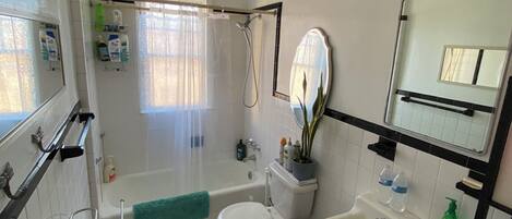 Hair dryer, towels, soap, toilet paper